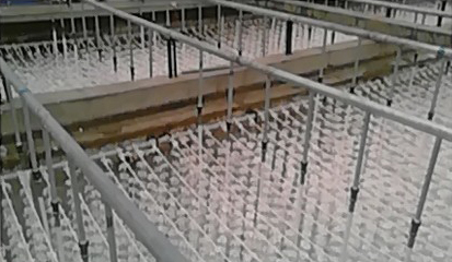 厦门向阳坊食品有限公司